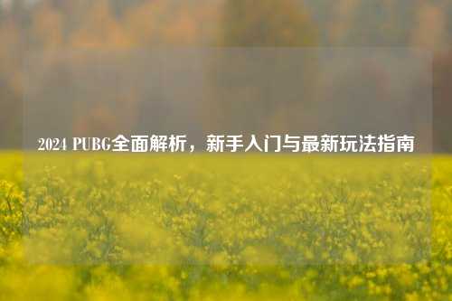 2024 PUBG全面解析，新手入门与最新玩法指南