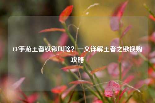 CF手游王者铁锹叫啥？一文详解王者之锹换购攻略