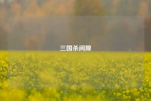 三国杀间隙