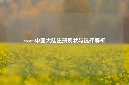 Steam中国大陆注册现状与选择解析