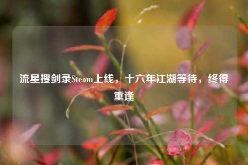 流星搜剑录Steam上线，十六年江湖等待，终得重逢