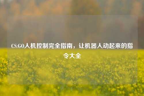 CS:GO人机控制完全指南，让机器人动起来的指令大全