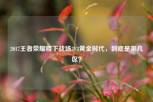2017王者荣耀稷下战场3V3黄金时代，到底是第几区？