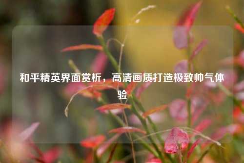 和平精英界面赏析，高清画质打造极致帅气体验