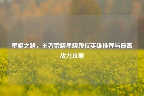 星耀之路，王者荣耀星耀段位英雄推荐与最高战力攻略