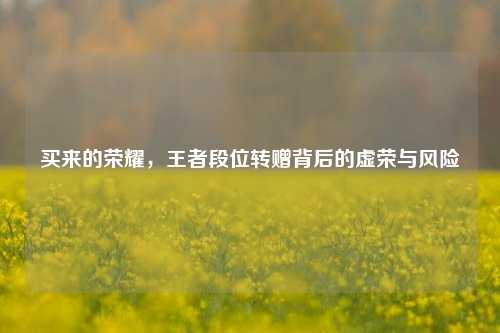 买来的荣耀，王者段位转赠背后的虚荣与风险