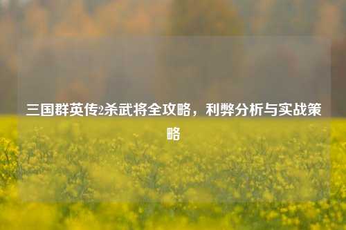 三国群英传2杀武将全攻略，利弊分析与实战策略