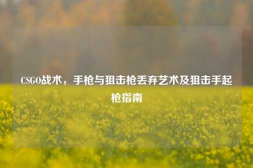 CSGO战术，手枪与狙击枪丢弃艺术及狙击手起枪指南