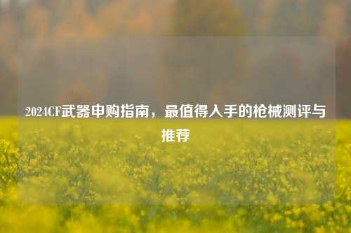 2024CF武器申购指南，最值得入手的枪械测评与推荐