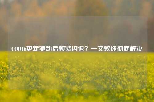 COD16更新驱动后频繁闪退？一文教你彻底解决