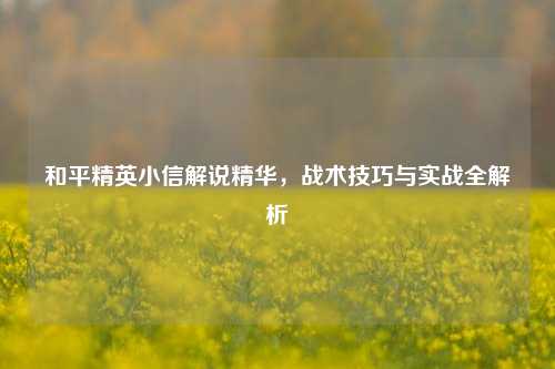 和平精英小信解说精华，战术技巧与实战全解析
