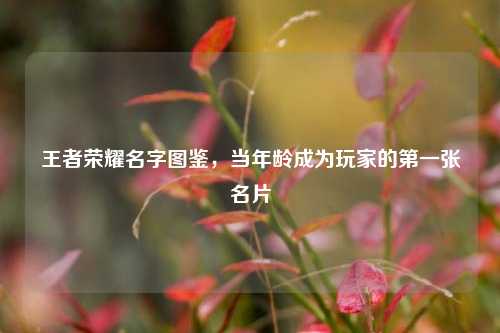 王者荣耀名字图鉴，当年龄成为玩家的第一张名片
