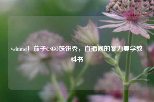 wdnmd！茄子CSGO铁饼秀，直播间的暴力美学教科书