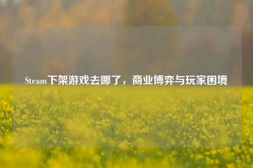 Steam下架游戏去哪了，商业博弈与玩家困境