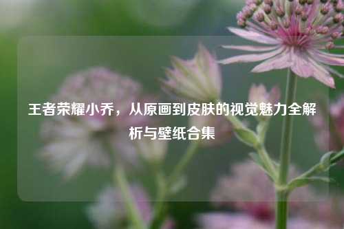 王者荣耀小乔，从原画到皮肤的视觉魅力全解析与壁纸合集