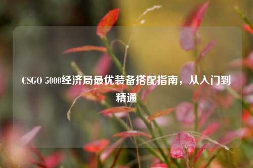 CSGO 5000经济局最优装备搭配指南，从入门到精通