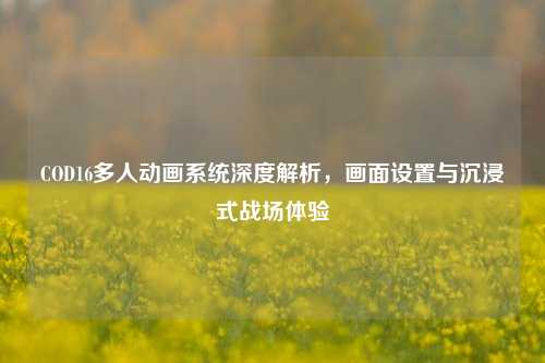 COD16多人动画系统深度解析，画面设置与沉浸式战场体验