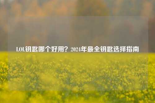 LOL钥匙哪个好用？2024年最全钥匙选择指南