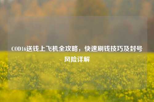 COD16送钱上飞机全攻略，快速刷钱技巧及封号风险详解