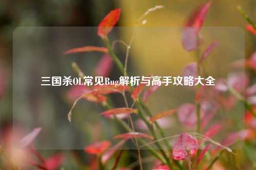 三国杀OL常见Bug解析与高手攻略大全