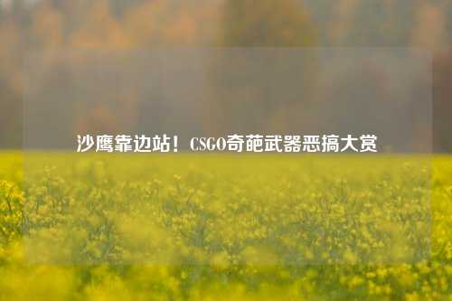 沙鹰靠边站！CSGO奇葩武器恶搞大赏