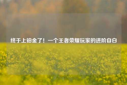 终于上铂金了！一个王者荣耀玩家的进阶自白