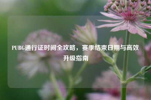 PUBG通行证时间全攻略，赛季结束日期与高效升级指南