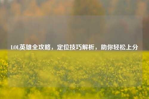 LOL英雄全攻略，定位技巧解析，助你轻松上分