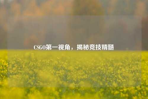CSGO第一视角，揭秘竞技精髓