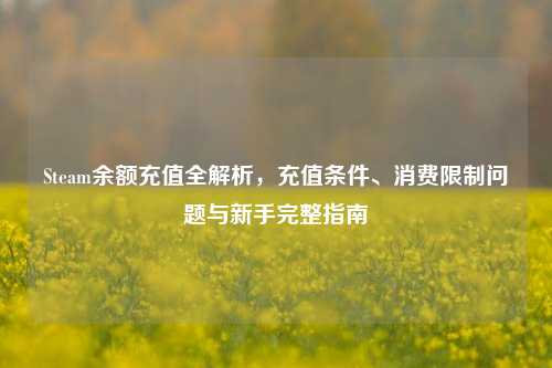 Steam余额充值全解析，充值条件、消费限制问题与新手完整指南