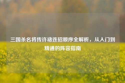 三国杀名将传许褚连招顺序全解析，从入门到精通的阵容指南