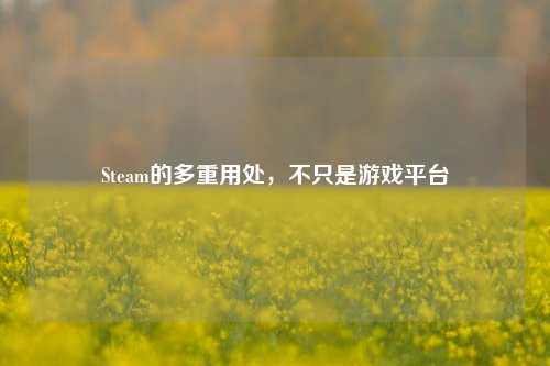 Steam的多重用处，不只是游戏平台