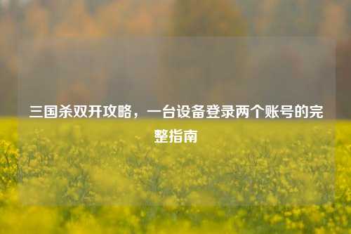 三国杀双开攻略，一台设备登录两个账号的完整指南
