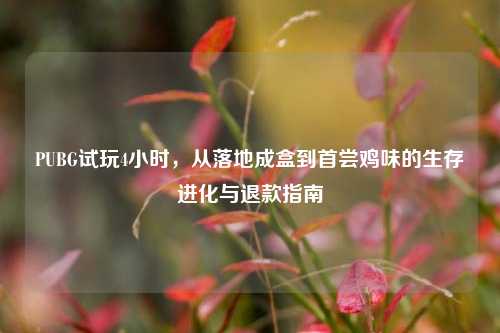 PUBG试玩4小时，从落地成盒到首尝鸡味的生存进化与退款指南