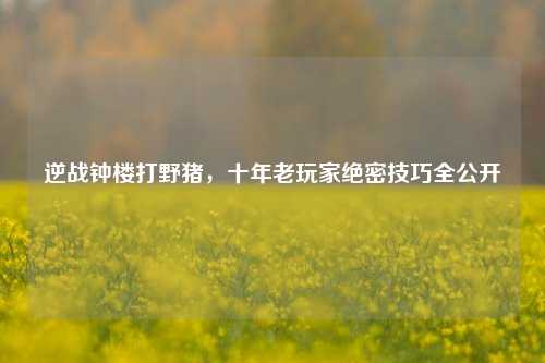 逆战钟楼打野猪，十年老玩家绝密技巧全公开