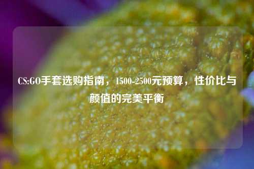 CS:GO手套选购指南，1500-2500元预算，性价比与颜值的完美平衡