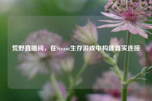 荒野直播间，在Steam生存游戏中构建真实连接