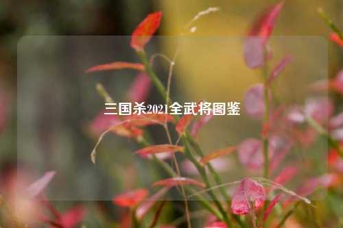 三国杀2021全武将图鉴