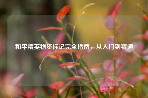 和平精英物资标记完全指南，从入门到精通