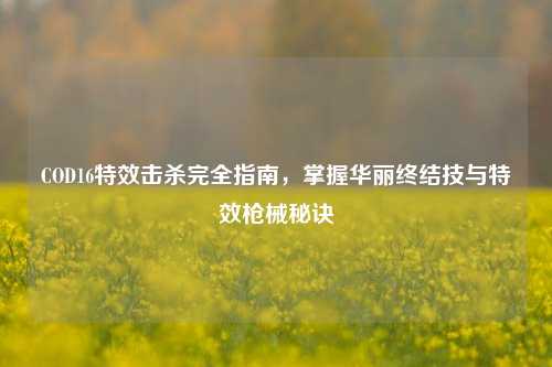 COD16特效击杀完全指南，掌握华丽终结技与特效枪械秘诀