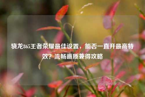 骁龙865王者荣耀最佳设置，能否一直开最高特效？流畅画质兼得攻略