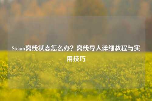 Steam离线状态怎么办？离线导入详细教程与实用技巧
