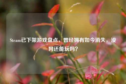 Steam已下架游戏盘点，曾经拥有如今消失，没网还能玩吗？