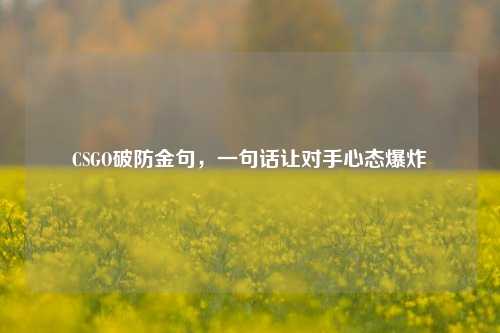 CSGO破防金句，一句话让对手心态爆炸