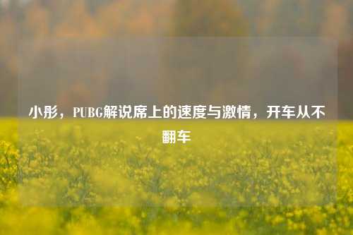 小彤，PUBG解说席上的速度与激情，开车从不翻车
