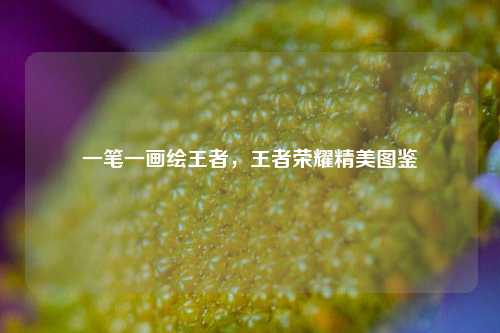 一笔一画绘王者，王者荣耀精美图鉴