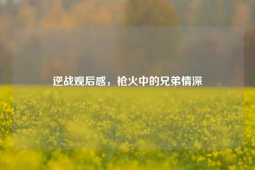 逆战观后感，枪火中的兄弟情深