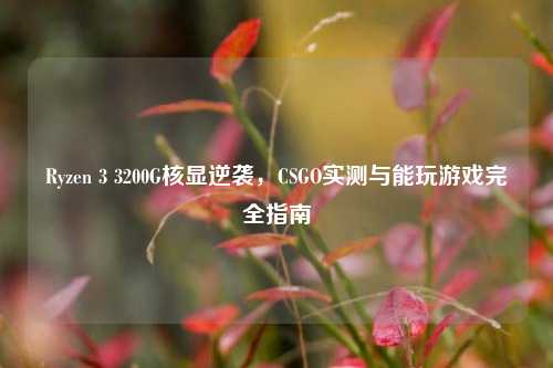 Ryzen 3 3200G核显逆袭，CSGO实测与能玩游戏完全指南