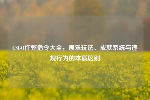 CSGO作弊指令大全，娱乐玩法、成就系统与违规行为的本质区别
