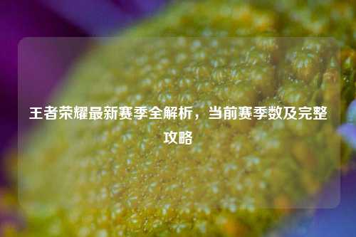 王者荣耀最新赛季全解析，当前赛季数及完整攻略